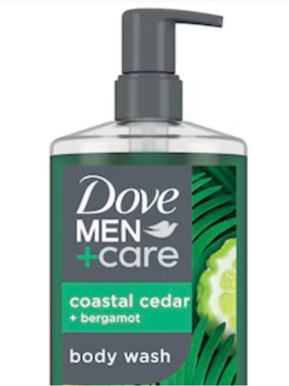 Dove Men+Care Coastal Cedar + Bergamot Body Wash